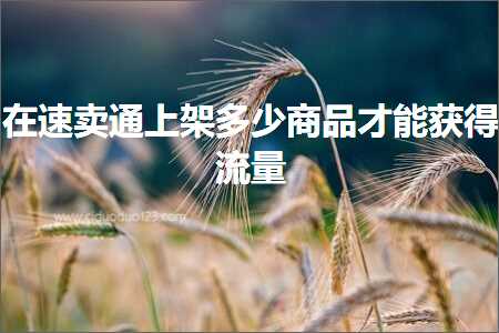 跨境电商知识:在速卖通上架多少商品才能获得流量