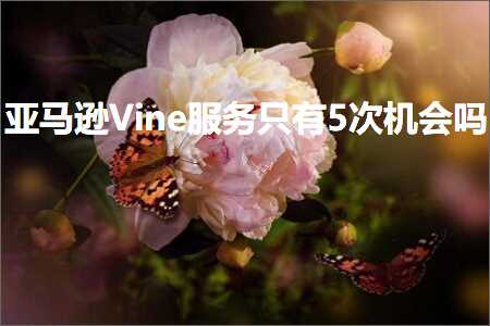 跨境电商知识:亚马逊Vine服务只有5次机会吗