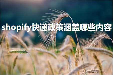 跨境电商知识:shopify快递政策涵盖哪些内容